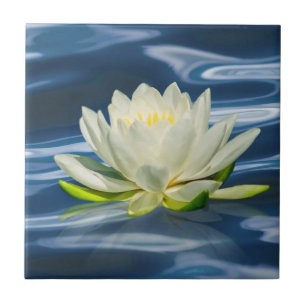 Cerâmica Lírio de água refletido no azulejo da água azul