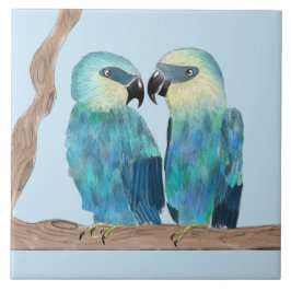 Cerâmica Macaws de Spix num Azulejo cerâmico - (B)