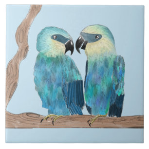 Cerâmica Macaws de Spix num Azulejo cerâmico - (B)