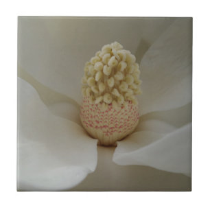 Cerâmica Magnolia Pequena (4,25" x 4,25") Azulejo de Foto C