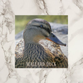 Cerâmica Mallard Duck Hen Azulejo Cerâmico de Fotos