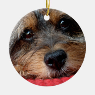 Cerâmica Moxi limpo como um ornamento de Shorkie do assobio