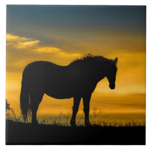 Cerâmica Mustang no Azulejo de Arte Sunset
