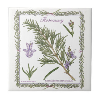 Cerâmica No azulejo de Rosemary do ~ do jardim