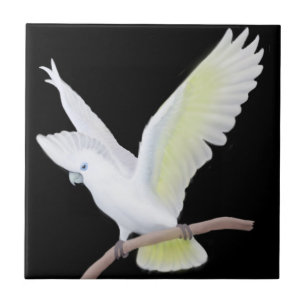 Cerâmica O azulejo do papagaio de Cockatoo de DuCorps
