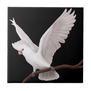 Cerâmica O azulejo do papagaio de Cockatoo de Goffins