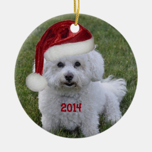 Cerâmica Ornamento 2014 de Bichon Frise (Frente)
