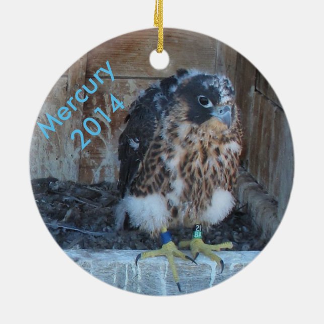 Cerâmica Ornamento 2014 de Mercury (Traseira)