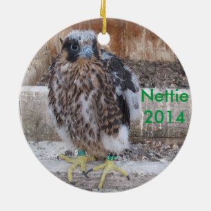 Cerâmica Ornamento 2014 de Nettie