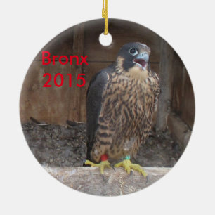 Cerâmica Ornamento 2015 de Bronx