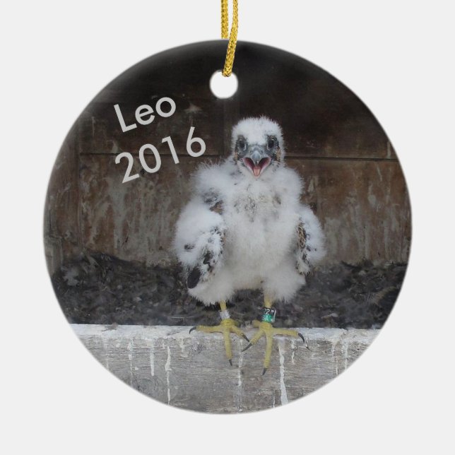 Cerâmica Ornamento 2016 de Leo (Frente)