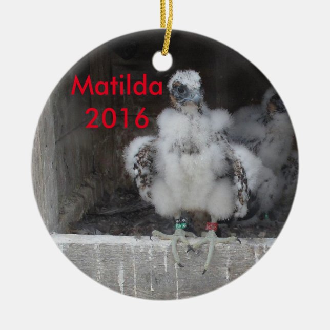 Cerâmica Ornamento 2016 de Matilda (Frente)