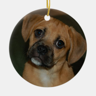 Cerâmica Ornamento 2 de Puggle