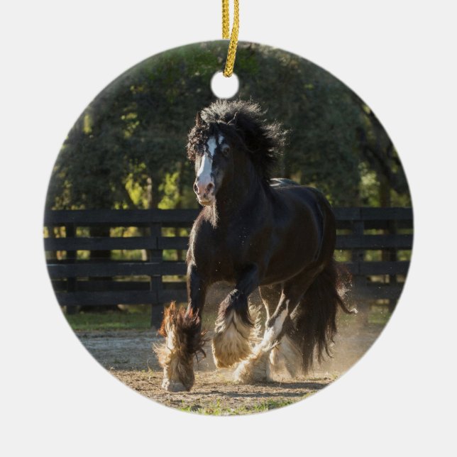 Cerâmica Ornamento aciganado Dourado aciganado de Vanner (Frente)