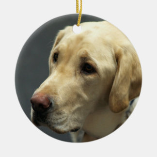 Cerâmica Ornamento amarelo de Labrador