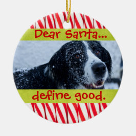 Cerâmica Ornamento bonito da foto do Natal do animal de