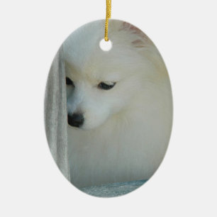 Cerâmica Ornamento branco de Pomeranian