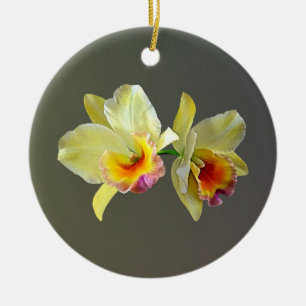 Cerâmica Ornamento cerâmico das Ornações de Cattleya Amarel