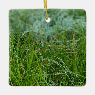 Cerâmica Ornamento Cerâmico de Aresta de Prados da Califórn