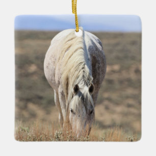 Cerâmica Ornamento Cerâmico de Cavalos Selvagens de Lava-Ar