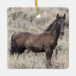 Cerâmica Ornamento Cerâmico de Cavalos Selvagens de Lava-Ar