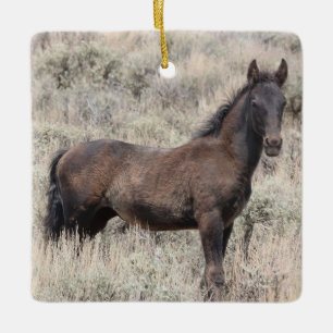 Cerâmica Ornamento Cerâmico de Cavalos Selvagens de Lava-Ar