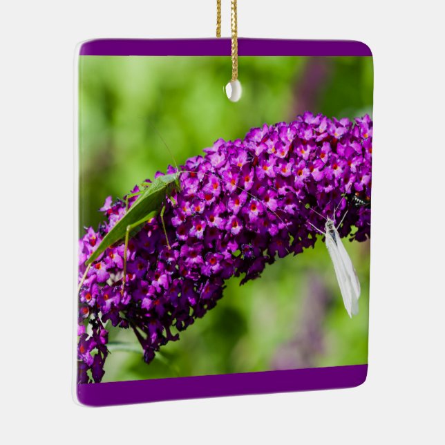 Cerâmica ornamento cerâmico de energia katydid (Direito )