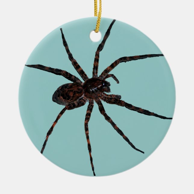 Cerâmica Ornamento da aranha de lobo (Frente)