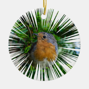 Cerâmica Ornamento da árvore de Natal Robin