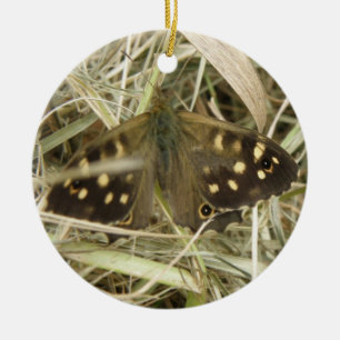 Cerâmica Ornamento da Borboleta de Madeira Específica