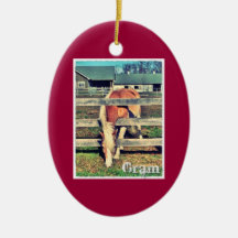 Ornamento da edição de luxo do grama