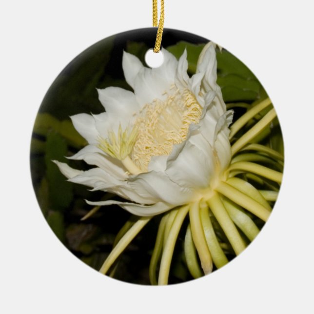 Cerâmica Ornamento da flor do círio de florescência de (Frente)
