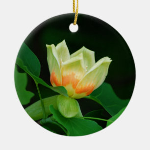 Cerâmica Ornamento da tulipa da árvore de álamo