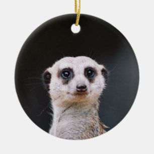 Cerâmica Ornamento da vigia de Meerkat