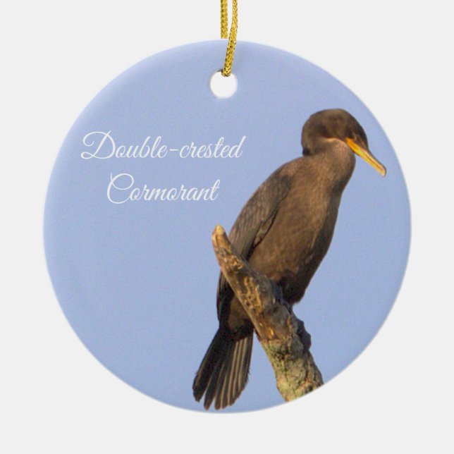 Cerâmica Ornamento de aves corvos com duplo cremento (Frente)
