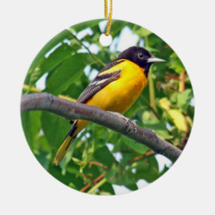 Cerâmica Ornamento de Baltimore Oriole