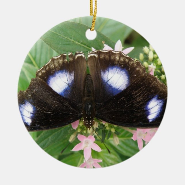 Cerâmica Ornamento de Borboleta Azul (Frente)