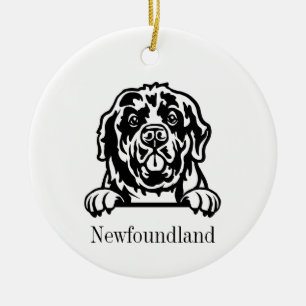 Cerâmica ornamento de cães da Terra Nova