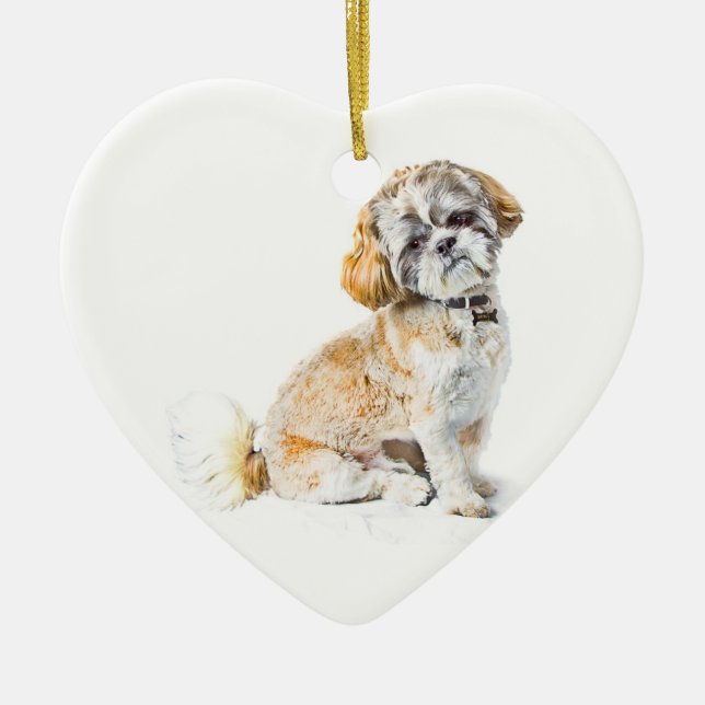 Cerâmica Ornamento de Cães Shih Tzu (Frente)