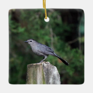Cerâmica Ornamento de Catbird
