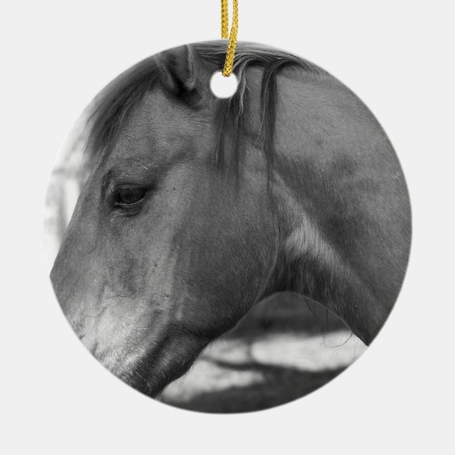Cerâmica Ornamento de Cavalo Negro e Branco (Frente)
