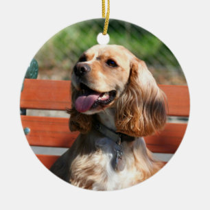 Cerâmica Ornamento de cocker spaniel