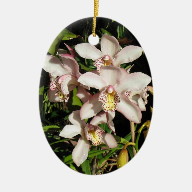 Cerâmica Ornamento de Cymbidium Orchids, personalizar (Frente)