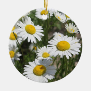 Cerâmica ornamento de Daisies