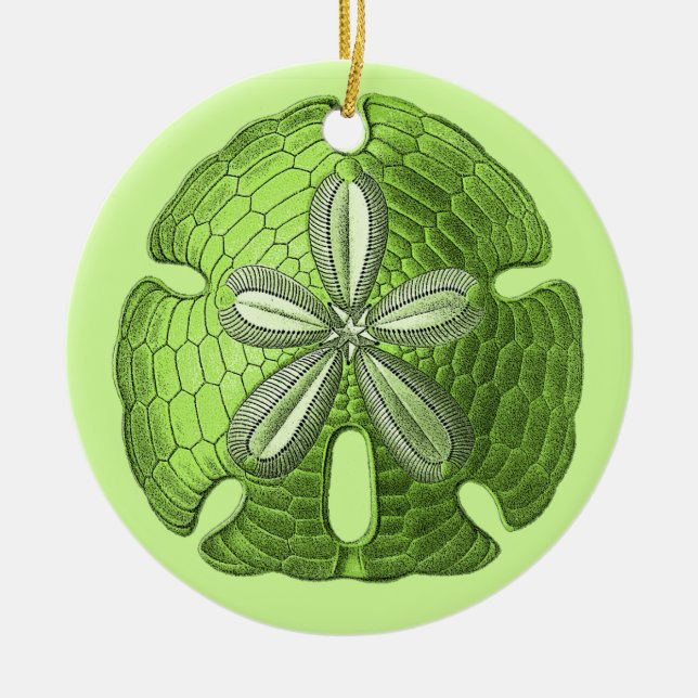 Cerâmica Ornamento de Dólar de Areia Verde (Frente)