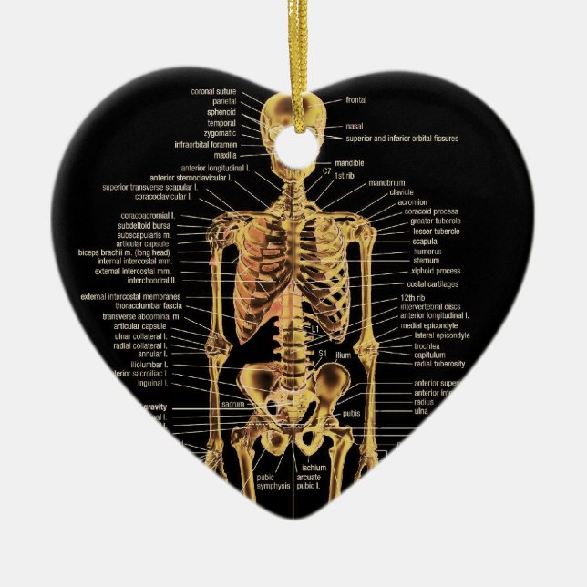Cerâmica Ornamento de esqueleto (Frente)