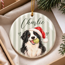Ornamento de Foto de Animal de Estimação em Aquare