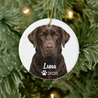 Cerâmica Ornamento de Foto de Cachorro Labrador Chocolate P