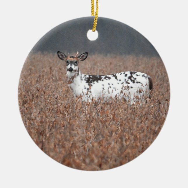 Cerâmica Ornamento de Foto de Cérebro Piebald (Frente)
