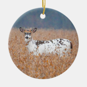 Cerâmica Ornamento de Foto de Cérebro Piebald